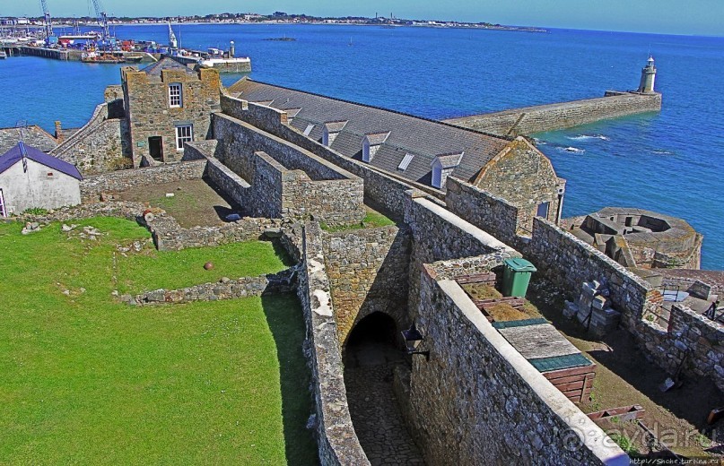 Верный Корнет