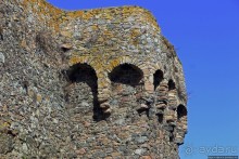 Верный Корнет