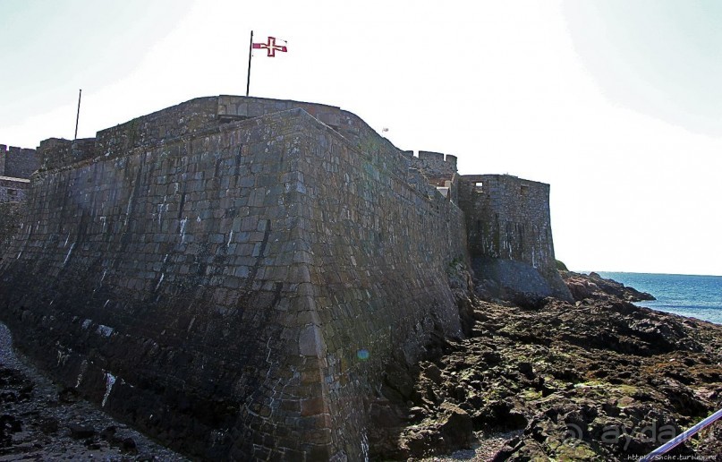 Верный Корнет