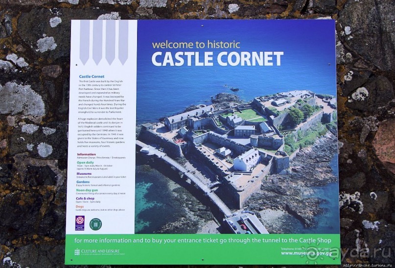 Верный Корнет