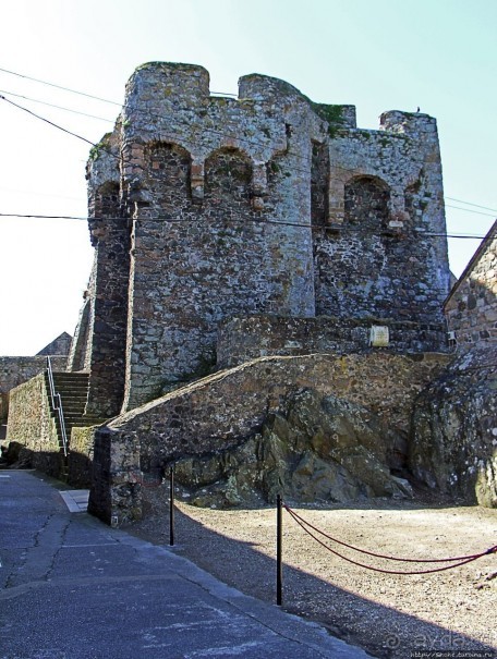 Верный Корнет