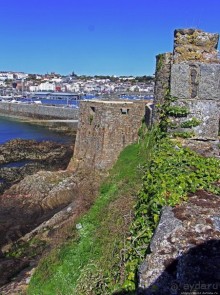 Верный Корнет