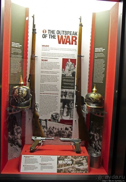 Верный Корнет