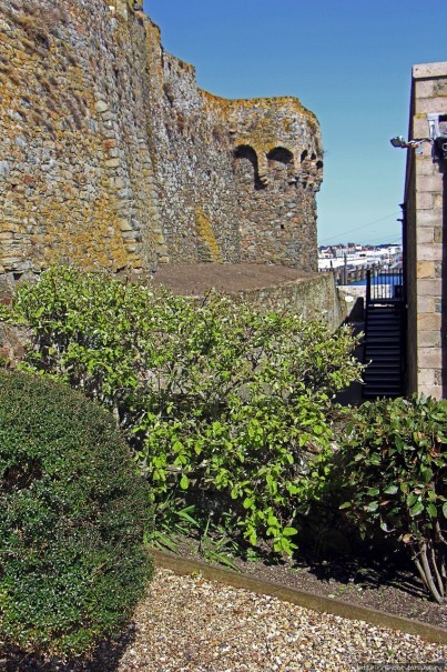 Верный Корнет