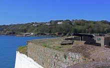 Верный Корнет