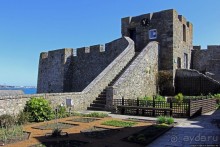 Верный Корнет