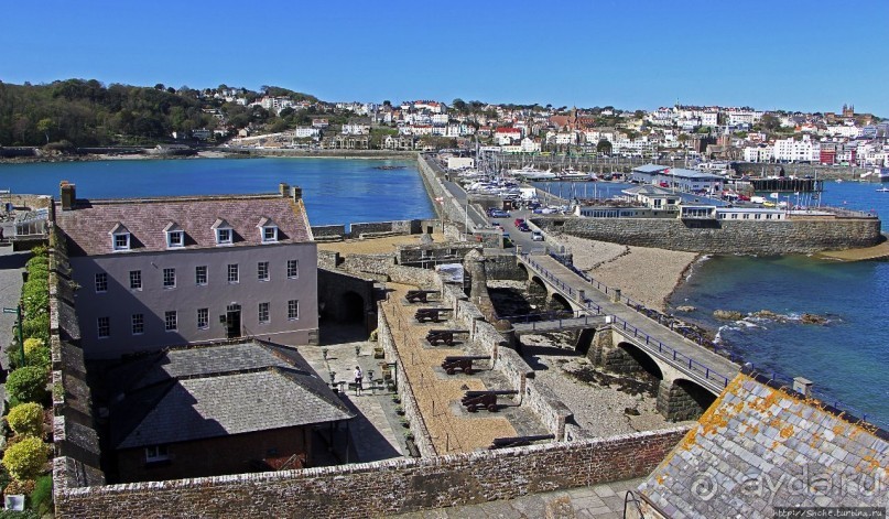 Верный Корнет