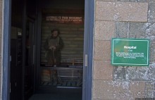 Верный Корнет