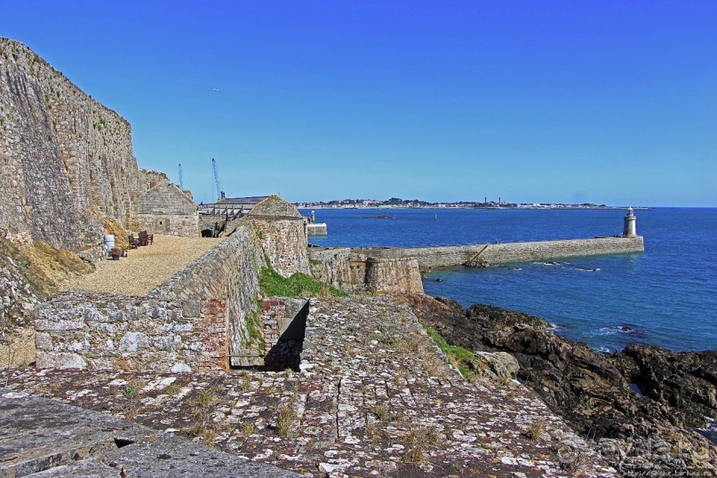 Верный Корнет