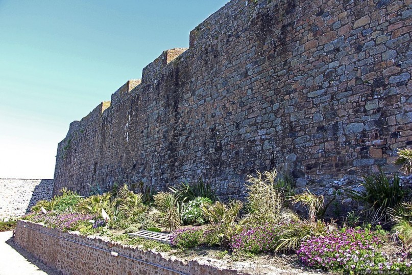 Верный Корнет