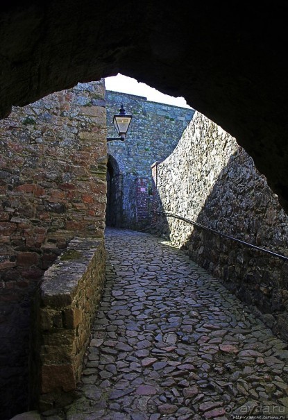 Верный Корнет