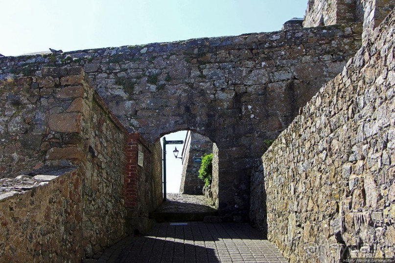 Верный Корнет