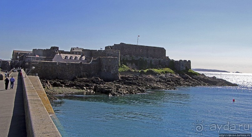 Верный Корнет