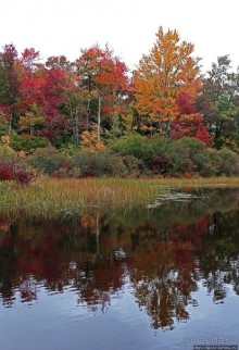 В гостях у Радуги. Кларксбург — красное наступает