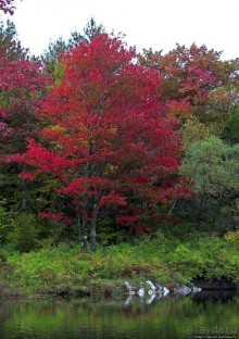 В гостях у Радуги. Кларксбург — красное наступает