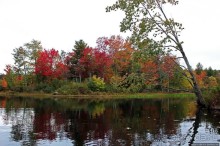 В гостях у Радуги. Кларксбург — красное наступает