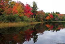 В гостях у Радуги. Кларксбург — красное наступает