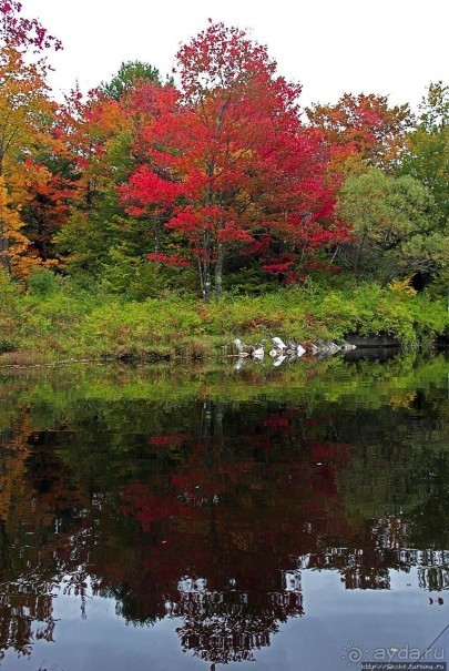 В гостях у Радуги. Кларксбург — красное наступает