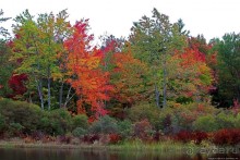В гостях у Радуги. Кларксбург — красное наступает
