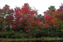 В гостях у Радуги. Кларксбург — красное наступает