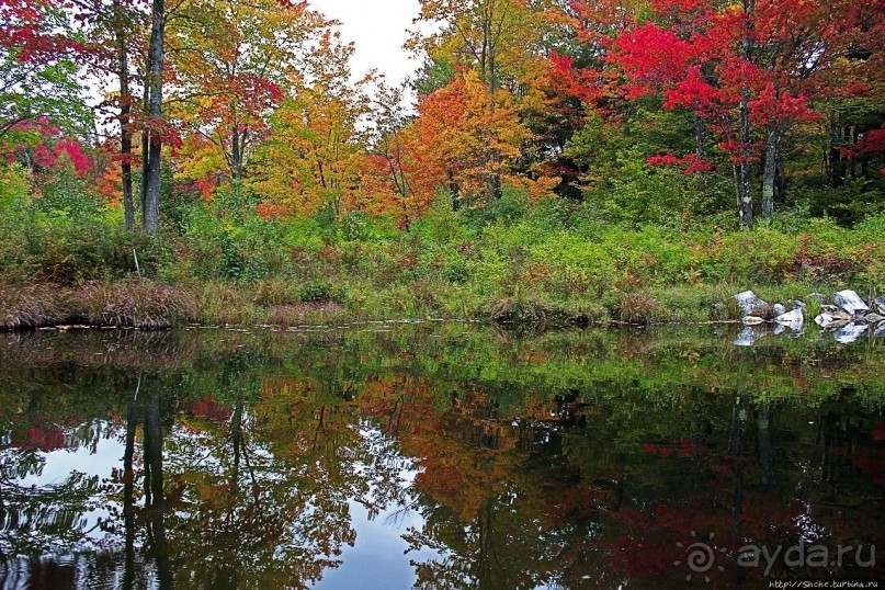 В гостях у Радуги. Кларксбург — красное наступает