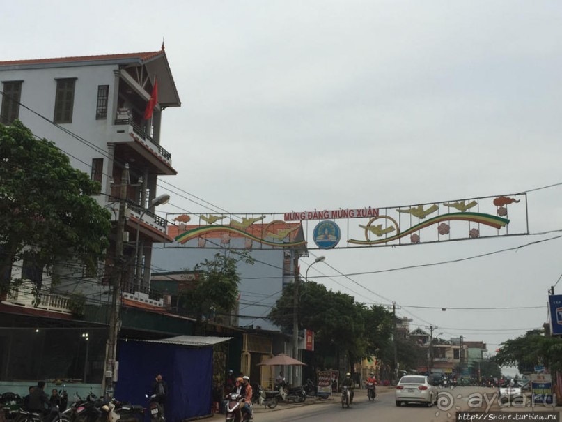 Альбом отзыва "Донг Хой — вынужденное знакомство"