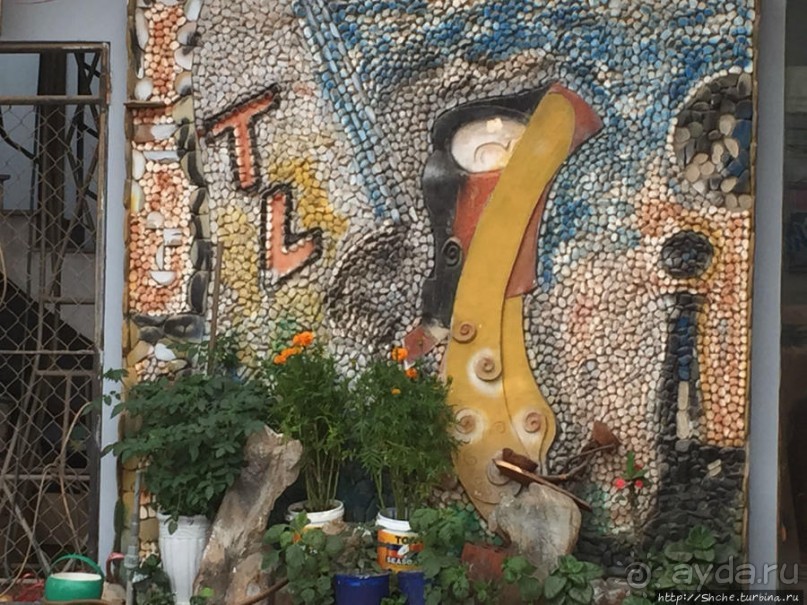 Альбом отзыва "Донг Хой — вынужденное знакомство"