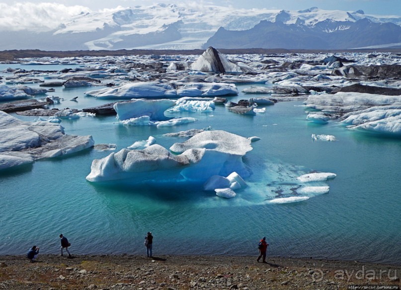 Альбом отзыва "Йекюльсаурлон — исландская Антарктида в миниатюре"