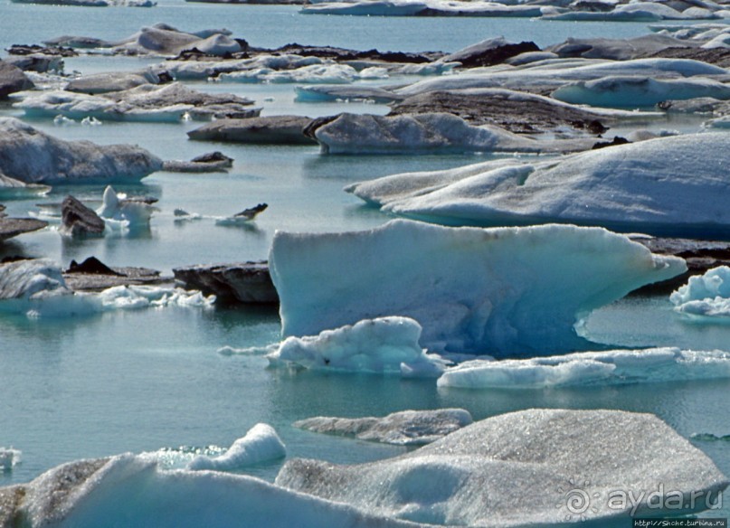 Альбом отзыва "Йекюльсаурлон — исландская Антарктида в миниатюре"