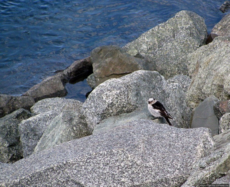 Йекюльсаурлон — исландская Антарктида в миниатюре