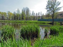 Чем живет поселок городского типа Калиновка под Киевом