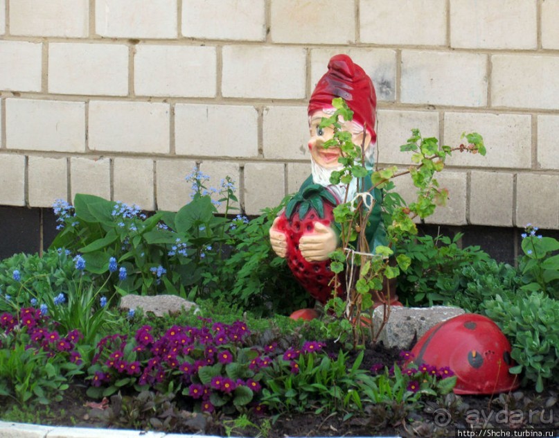 Чем живет поселок городского типа Калиновка под Киевом