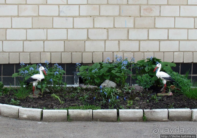 Чем живет поселок городского типа Калиновка под Киевом