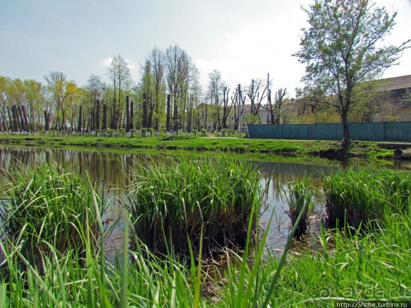 Чем живет поселок городского типа Калиновка под Киевом