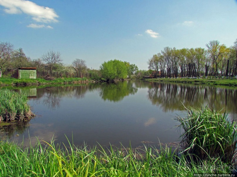 Чем живет поселок городского типа Калиновка под Киевом