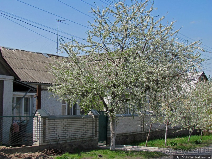 Чем живет поселок городского типа Калиновка под Киевом