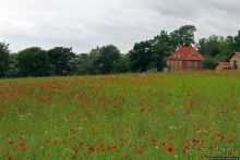 Роскилле — вторая столица Дании