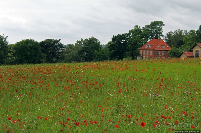 Роскилле — вторая столица Дании