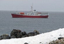 Антарктида. Robert island — первая высадка.