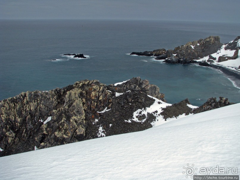 Антарктида. Robert island — первая высадка.