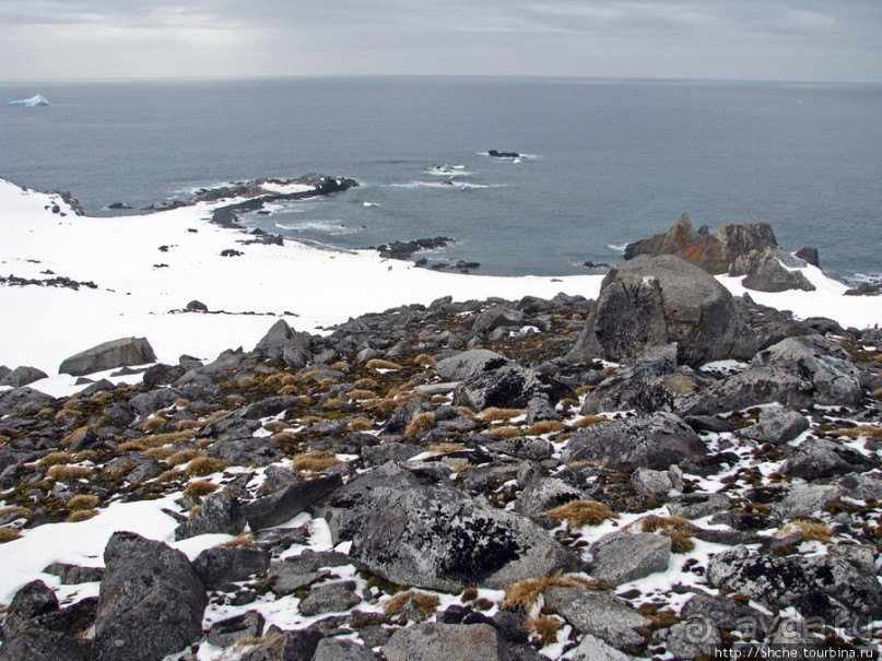 Антарктида. Robert island — первая высадка.