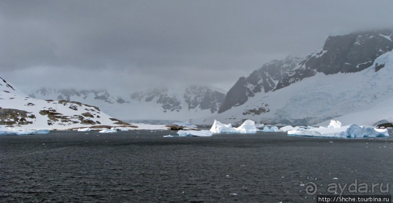 Антарктида. Robert island — первая высадка.