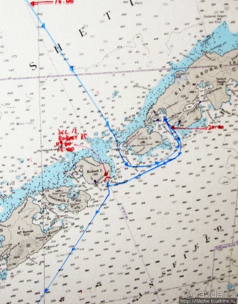 Антарктида. Robert island — первая высадка.