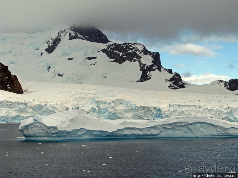 Антарктида. Robert island — первая высадка.