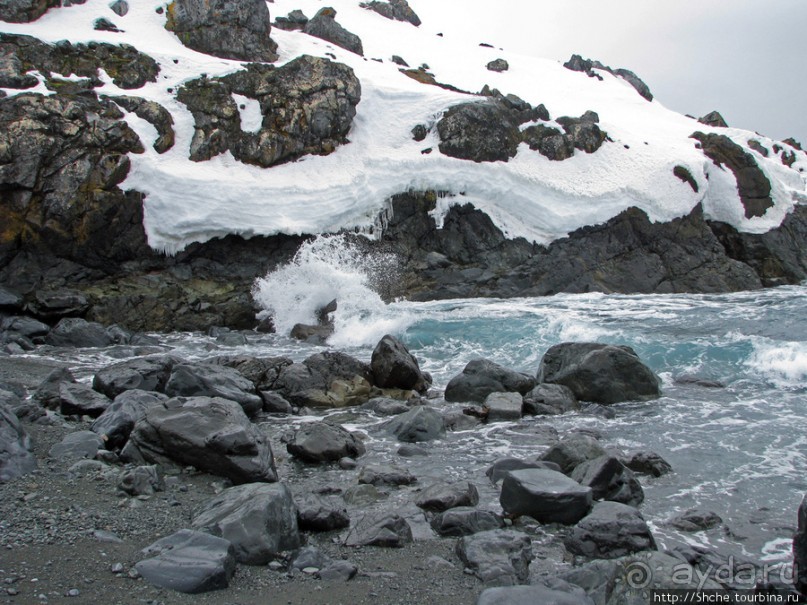 Антарктида. Robert island — первая высадка.