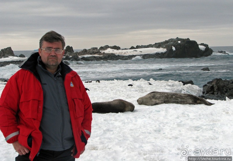 Антарктида. Robert island — первая высадка.