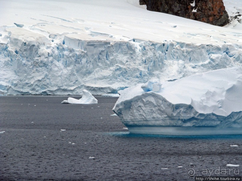 Антарктида. Robert island — первая высадка.