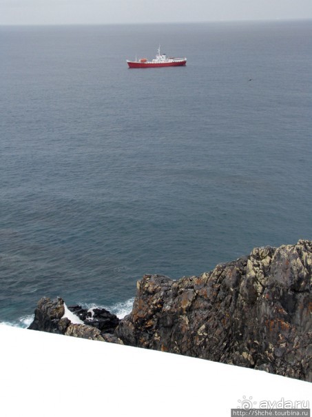 Антарктида. Robert island — первая высадка.