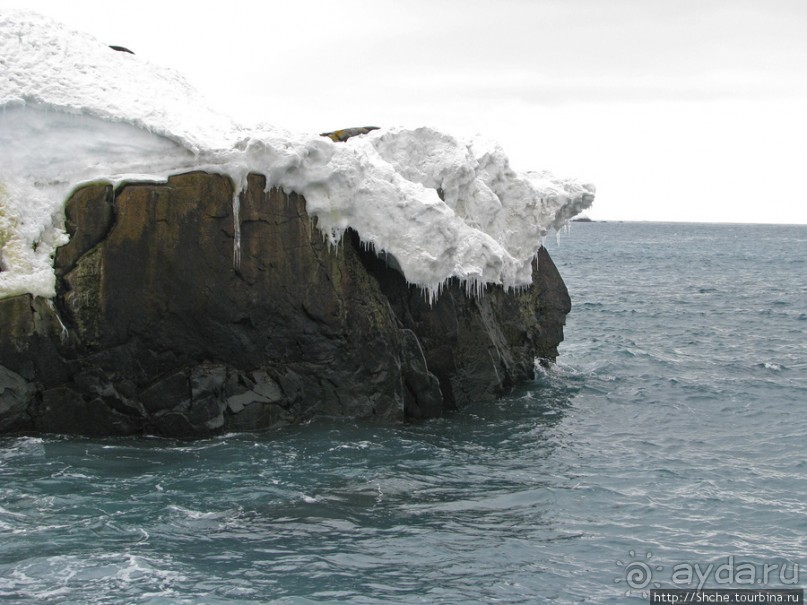 Антарктида. Robert island — первая высадка.