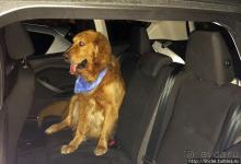 Маленький ассортимент, но хорошая кухня